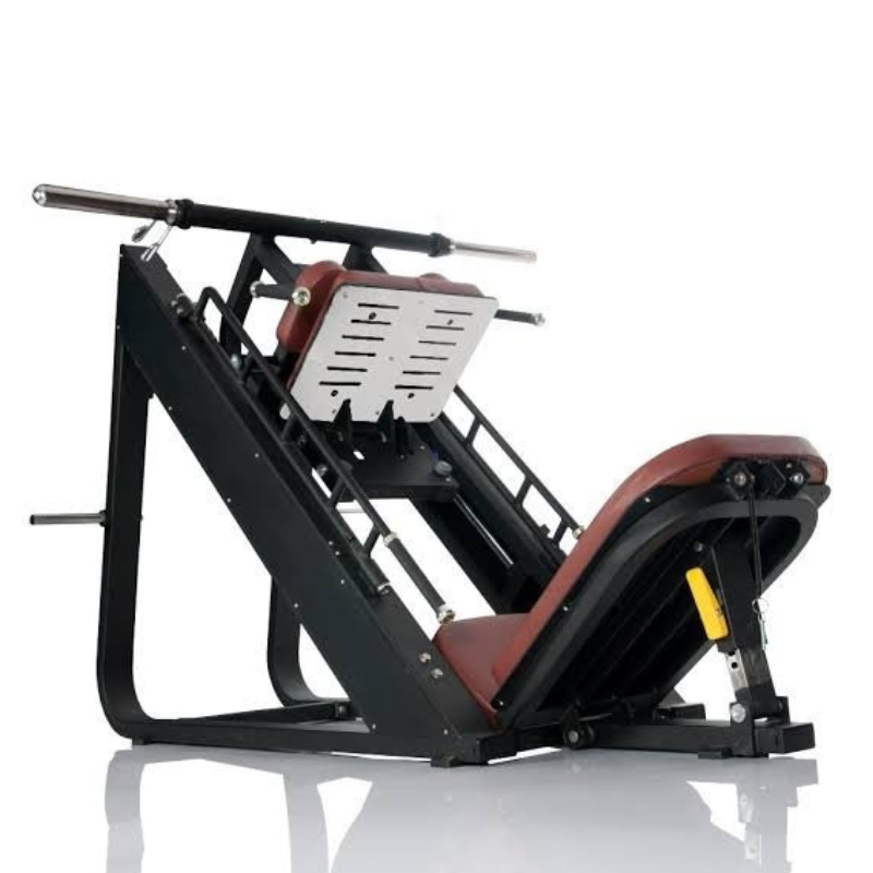 Heavy Commercial Leg Press with Hack Squat